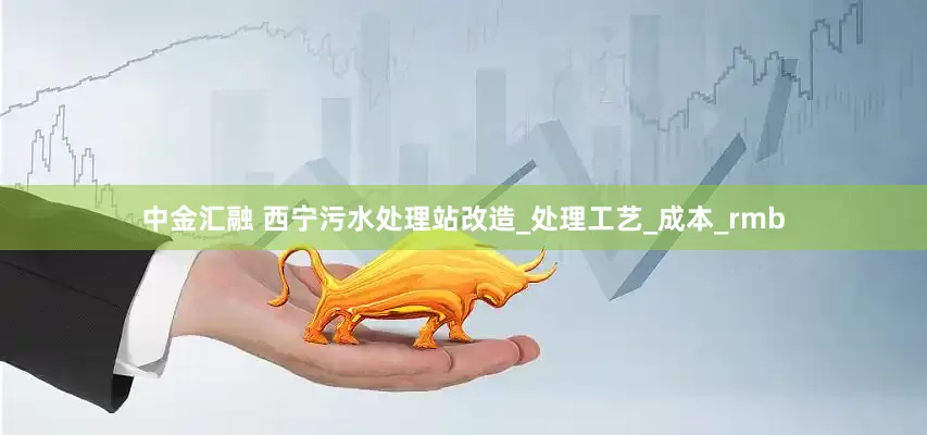 中金汇融 西宁污水处理站改造_处理工艺_成本_rmb