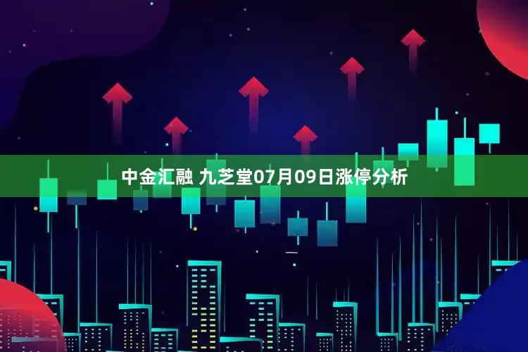 中金汇融 九芝堂07月09日涨停分析
