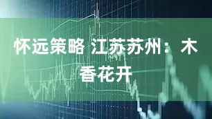 怀远策略 江苏苏州：木香花开