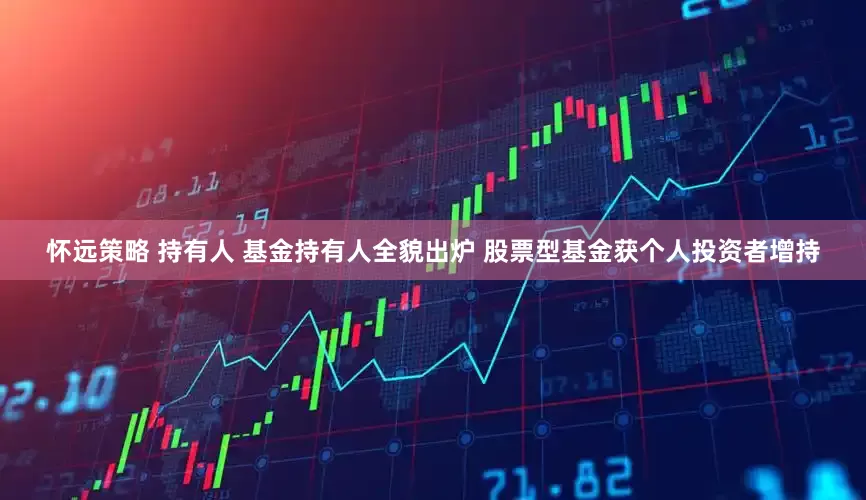怀远策略 持有人 基金持有人全貌出炉 股票型基金获个人投资者增持